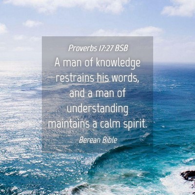 Picture 04 - Proverbs 17:27 BSB - A man of knowledge restrains his words, and a man - Bible Verse Picture