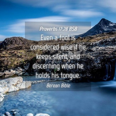 Picture 04 - Proverbs 17:28 BSB - Even a fool is considered wise if he keeps - Bible Verse Picture
