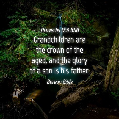 Picture 04 - Proverbs 17:6 BSB - Grandchildren are the crown of the aged, and the - Bible Verse Picture
