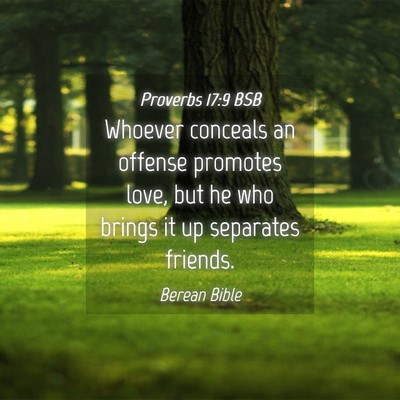 Picture 04 - Proverbs 17:9 BSB - Whoever conceals an offense promotes love, but he - Bible Verse Picture