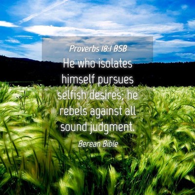 Picture 04 - Proverbs 18:1 BSB - He who isolates himself pursues selfish desires; - Bible Verse Picture