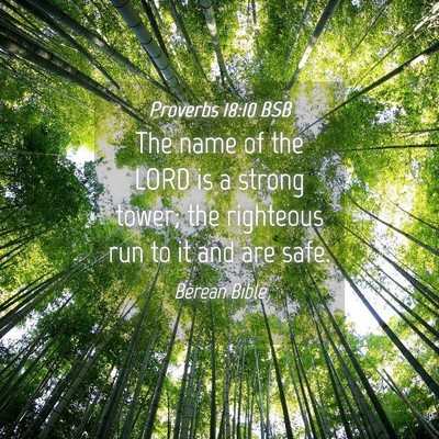 Picture 04 - Proverbs 18:10 BSB - The name of the LORD is a strong tower; the - Bible Verse Picture