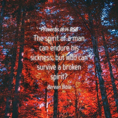 Picture 04 - Proverbs 18:14 BSB - The spirit of a man can endure his sickness, but - Bible Verse Picture