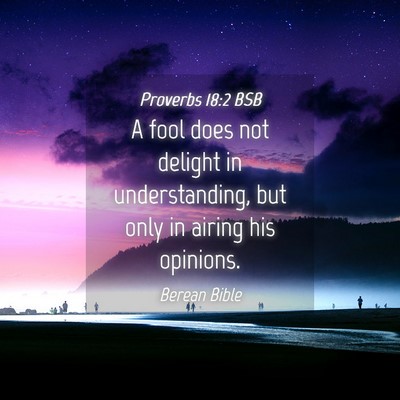 Picture 04 - Proverbs 18:2 BSB - A fool does not delight in understanding, but - Bible Verse Picture