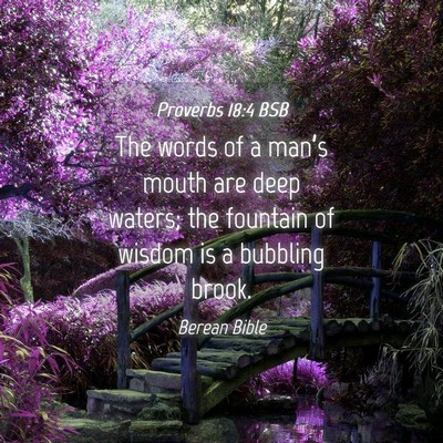 Picture 04 - Proverbs 18:4 BSB - The words of a man’s mouth are deep waters; the - Bible Verse Picture
