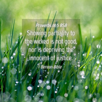 Picture 04 - Proverbs 18:5 BSB - Showing partiality to the wicked is not good, nor - Bible Verse Picture