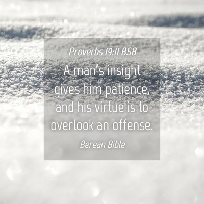 Picture 04 - Proverbs 19:11 BSB - A man’s insight gives him patience, and his - Bible Verse Picture