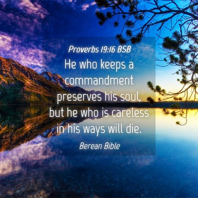 Picture 04 - Proverbs 19:16 BSB - He who keeps a commandment preserves his soul, - Bible Verse Picture