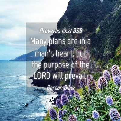 Picture 04 - Proverbs 19:21 BSB - Many plans are in a man’s heart, but the - Bible Verse Picture