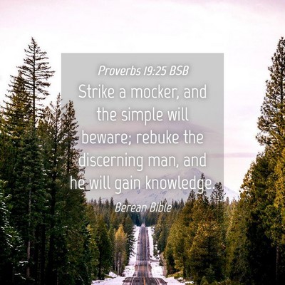 Picture 04 - Proverbs 19:25 BSB - Strike a mocker, and the simple will beware; - Bible Verse Picture