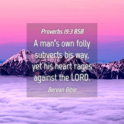 Picture 04 - Proverbs 19:3 BSB - A man’s own folly subverts his way, yet his - Bible Verse Picture
