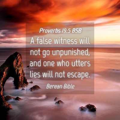 Picture 04 - Proverbs 19:5 BSB - A false witness will not go unpunished, and one - Bible Verse Picture