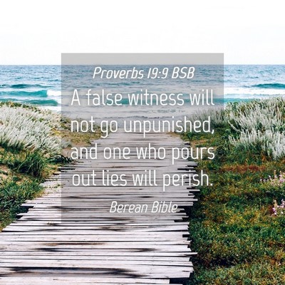 Picture 04 - Proverbs 19:9 BSB - A false witness will not go unpunished, and one - Bible Verse Picture