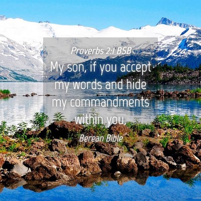 Picture 04 - Proverbs 2:1 BSB - My son, if you accept my words and hide my - Bible Verse Picture