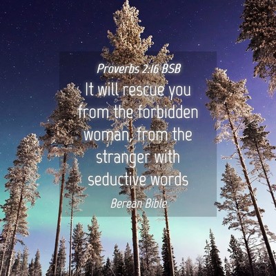 Picture 04 - Proverbs 2:16 BSB - It will rescue you from the forbidden woman, from - Bible Verse Picture