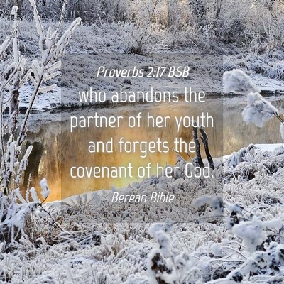 Picture 04 - Proverbs 2:17 BSB - who abandons the partner of her youth and forgets - Bible Verse Picture