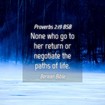 Picture 04 - Proverbs 2:19 BSB - None who go to her return or negotiate the paths - Bible Verse Picture