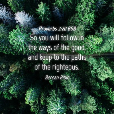 Picture 04 - Proverbs 2:20 BSB - So you will follow in the ways of the good, and - Bible Verse Picture