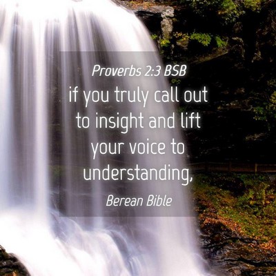 Picture 04 - Proverbs 2:3 BSB - if you truly call out to insight and lift your - Bible Verse Picture