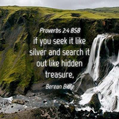 Picture 04 - Proverbs 2:4 BSB - if you seek it like silver and search it out like - Bible Verse Picture