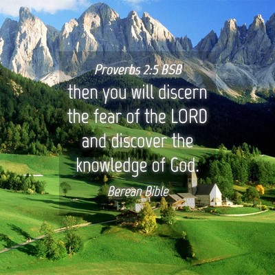 Picture 04 - Proverbs 2:5 BSB - then you will discern the fear of the LORD and - Bible Verse Picture