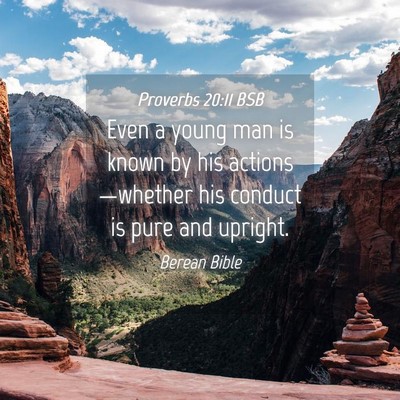 Picture 04 - Proverbs 20:11 BSB - Even a young man is known by his - Bible Verse Picture