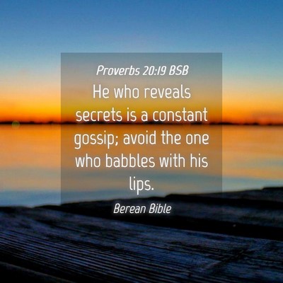 Picture 04 - Proverbs 20:19 BSB - He who reveals secrets is a constant gossip; - Bible Verse Picture