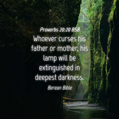 Picture 04 - Proverbs 20:20 BSB - Whoever curses his father or mother, his lamp - Bible Verse Picture
