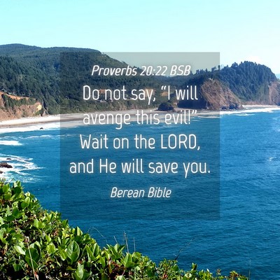 Picture 04 - Proverbs 20:22 BSB - Do not say, “I will avenge this evil!” Wait - Bible Verse Picture