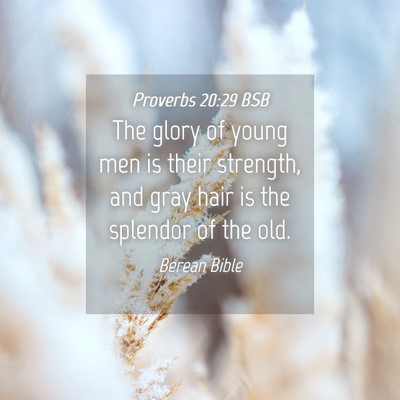 Picture 04 - Proverbs 20:29 BSB - The glory of young men is their strength, and - Bible Verse Picture