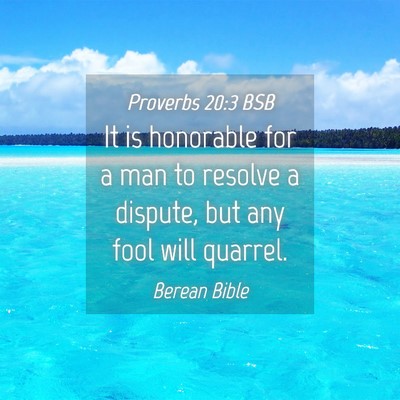 Picture 04 - Proverbs 20:3 BSB - It is honorable for a man to resolve a dispute, - Bible Verse Picture