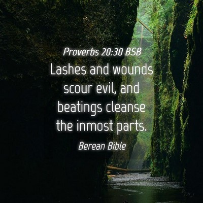 Picture 04 - Proverbs 20:30 BSB - Lashes and wounds scour evil, and beatings - Bible Verse Picture