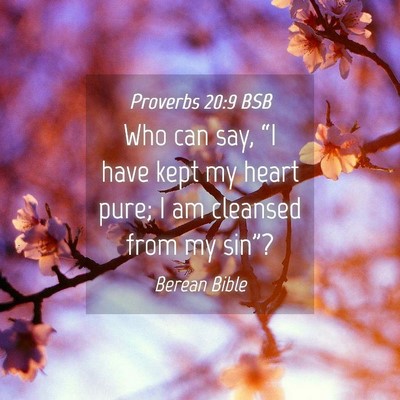 Picture 04 - Proverbs 20:9 BSB - Who can say, “I have kept my heart pure; I am - Bible Verse Picture