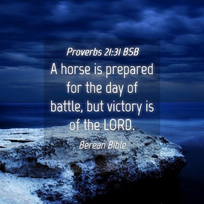 Picture 04 - Proverbs 21:31 BSB - A horse is prepared for the day of battle, but - Bible Verse Picture