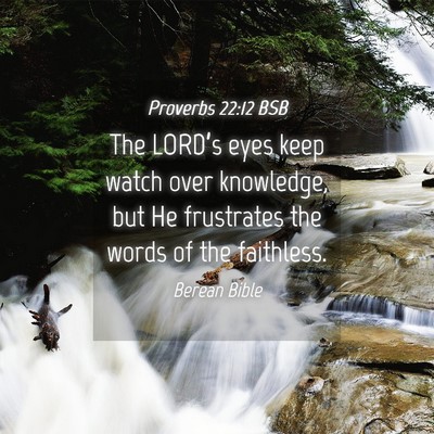 Picture 04 - Proverbs 22:12 BSB - The LORD’s eyes keep watch over knowledge, but - Bible Verse Picture