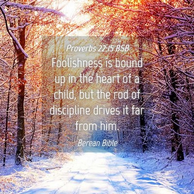 Picture 04 - Proverbs 22:15 BSB - Foolishness is bound up in the heart of a child, - Bible Verse Picture