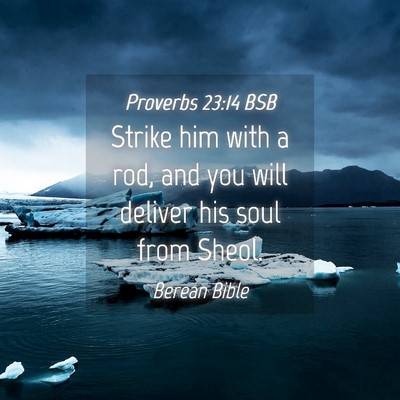Picture 04 - Proverbs 23:14 BSB - Strike him with a rod, and you will deliver his - Bible Verse Picture