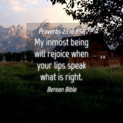 Picture 04 - Proverbs 23:16 BSB - My inmost being will rejoice when your lips speak - Bible Verse Picture