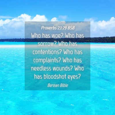 Picture 04 - Proverbs 23:29 BSB - Who has woe? Who has sorrow? Who has contentions? - Bible Verse Picture