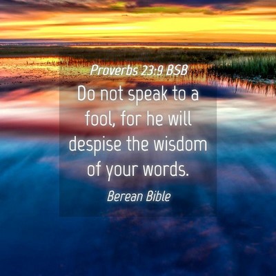Picture 04 - Proverbs 23:9 BSB - Do not speak to a fool, for he will despise the - Bible Verse Picture