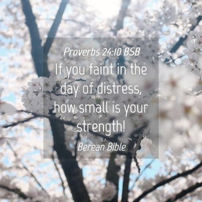 Picture 04 - Proverbs 24:10 BSB - If you faint in the day of distress, how small is - Bible Verse Picture