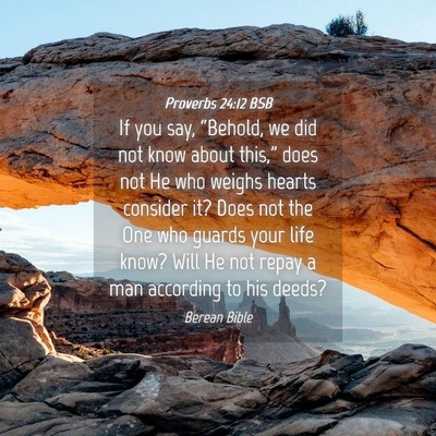 Picture 04 - Proverbs 24:12 BSB - If you say, “Behold, we did not know about - Bible Verse Picture
