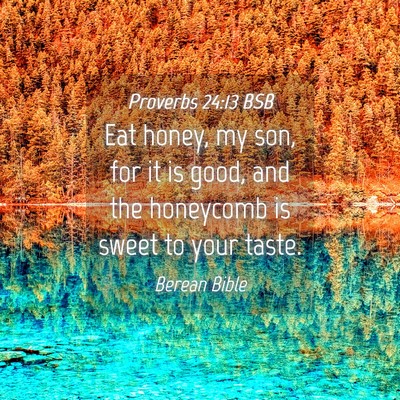 Picture 04 - Proverbs 24:13 BSB - Eat honey, my son, for it is good, and the - Bible Verse Picture