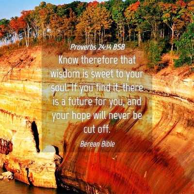 Picture 04 - Proverbs 24:14 BSB - Know therefore that wisdom is sweet to your soul. - Bible Verse Picture