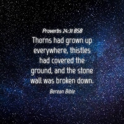 Picture 04 - Proverbs 24:31 BSB - Thorns had grown up everywhere, thistles had - Bible Verse Picture