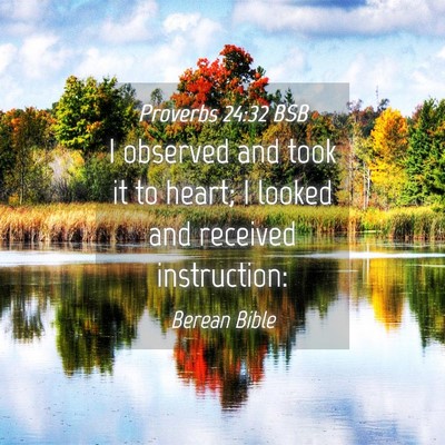 Picture 04 - Proverbs 24:32 BSB - I observed and took it to heart; I looked and - Bible Verse Picture