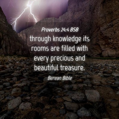 Picture 04 - Proverbs 24:4 BSB - through knowledge its rooms are filled with every - Bible Verse Picture
