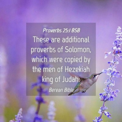 Picture 04 - Proverbs 25:1 BSB - These are additional proverbs of Solomon, which - Bible Verse Picture