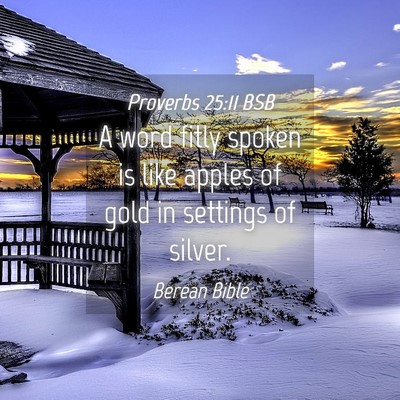 Picture 04 - Proverbs 25:11 BSB - A word fitly spoken is like apples of gold in - Bible Verse Picture