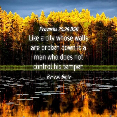 Picture 04 - Proverbs 25:28 BSB - Like a city whose walls are broken down is a man - Bible Verse Picture